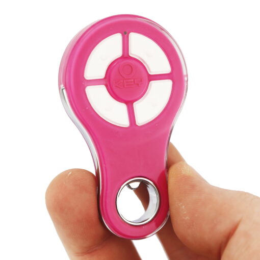 Forza 1200, Boss BHT20, Downee Key Automation Pink Garage Door Remote - Image 5